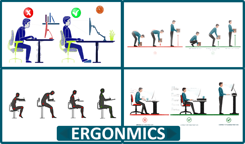 Ergonomics in the Workplace: Ensuring Physical Health in Office surroundings