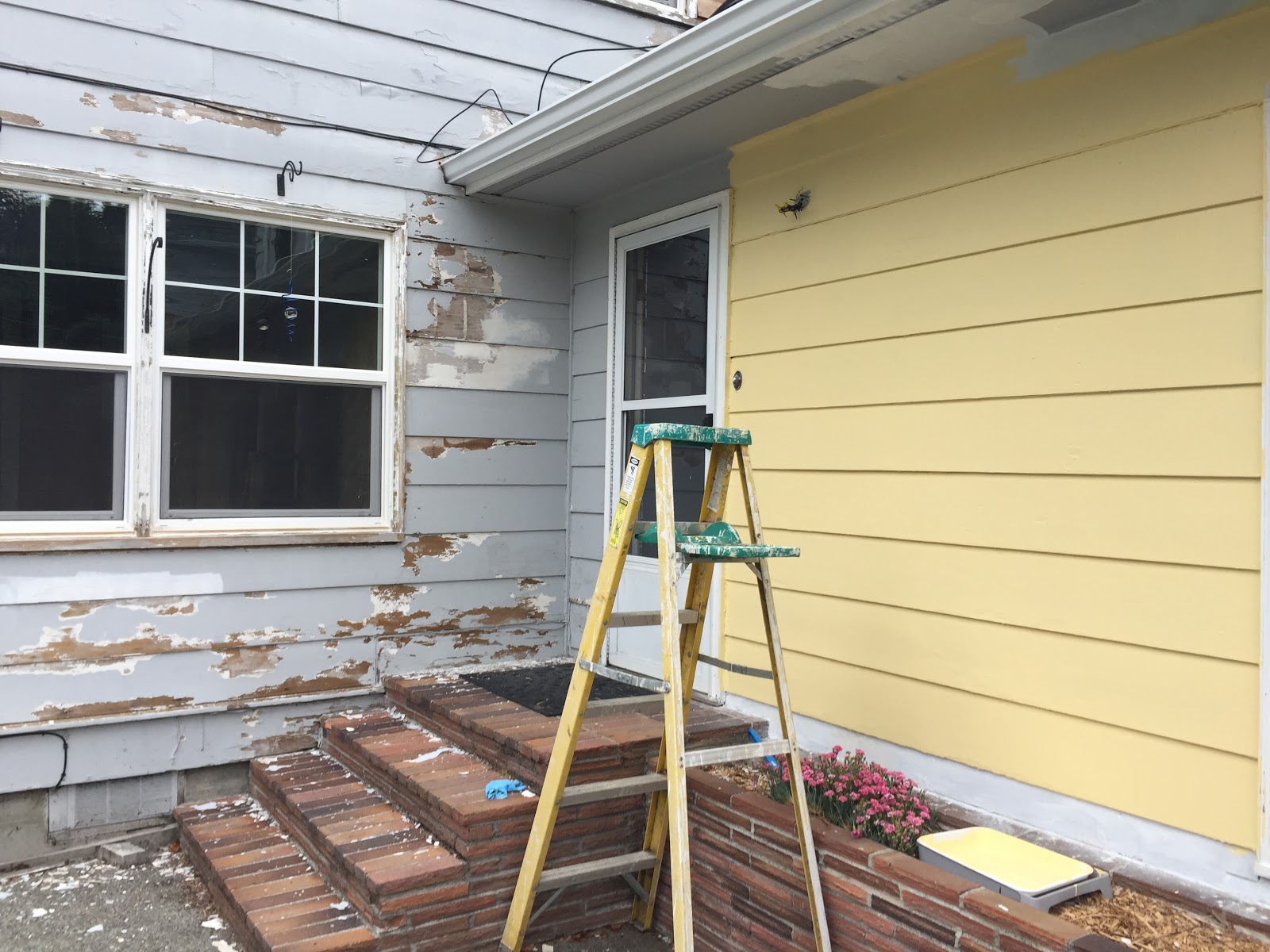 Dealing with Cracked and Flaking Exterior Paint: form or Repaint?