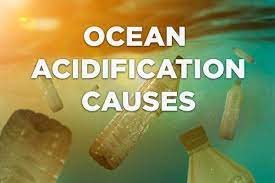 what are the main causes of ocean acidification